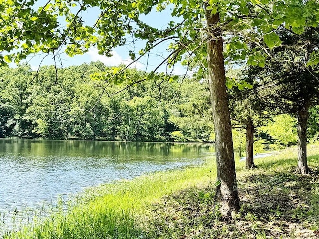 000 SE 1200th Rd, Collins, MO 64738 - photo 25