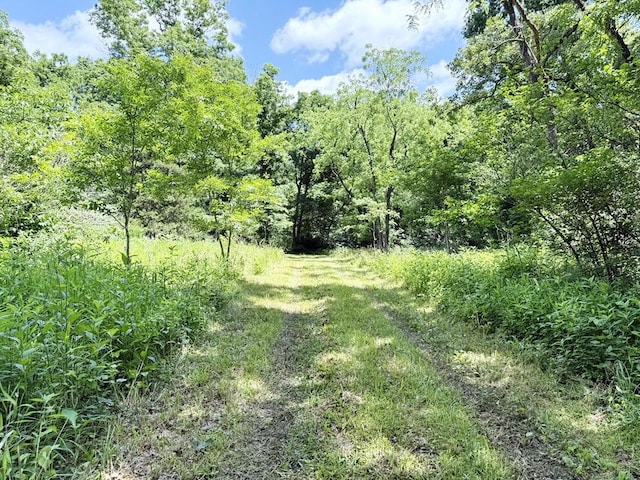 000 SE 1200th Rd, Collins, MO 64738 - photo 35