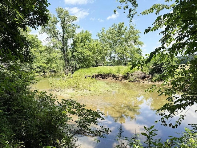 000 SE 1200th Rd, Collins, MO 64738 - photo 38