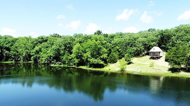 000 SE 1200th Rd, Collins, MO 64738 - photo 43