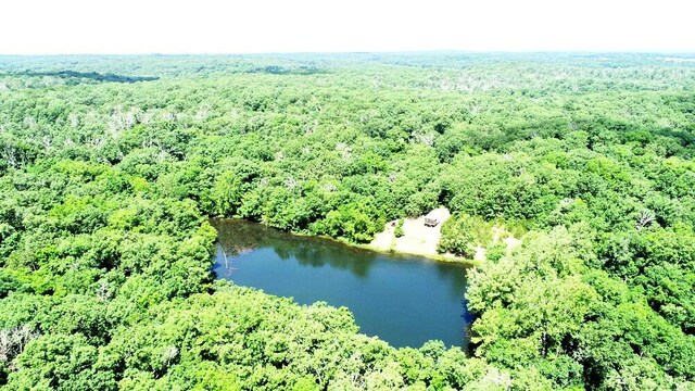 000 SE 1200th Rd, Collins, MO 64738 - photo 5