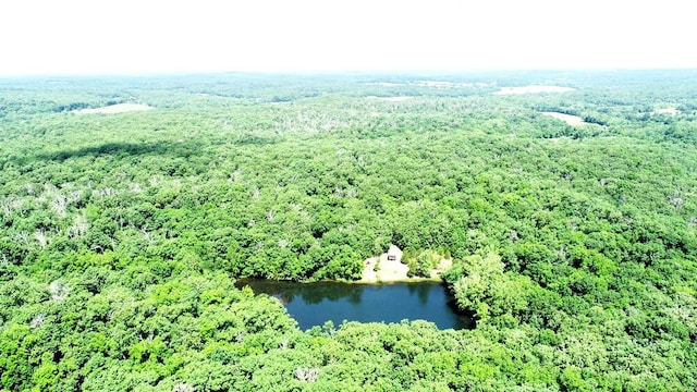 000 SE 1200th Rd, Collins, MO 64738 - photo 6