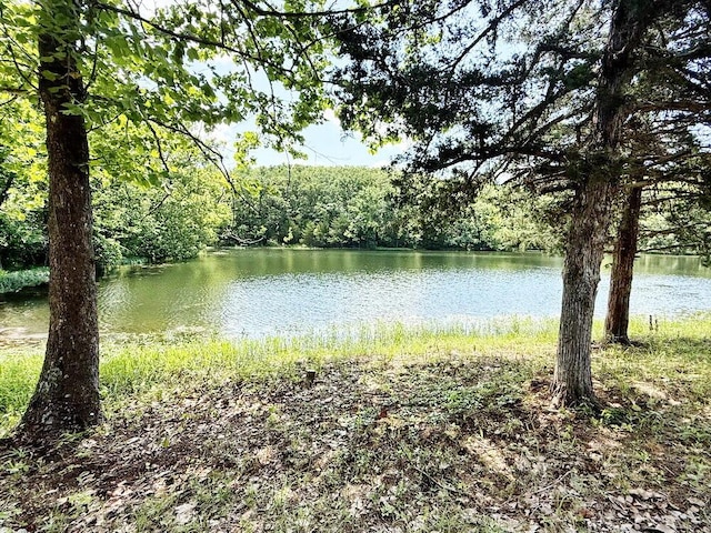 000 SE 1200th Rd, Collins, MO 64738 - photo 27
