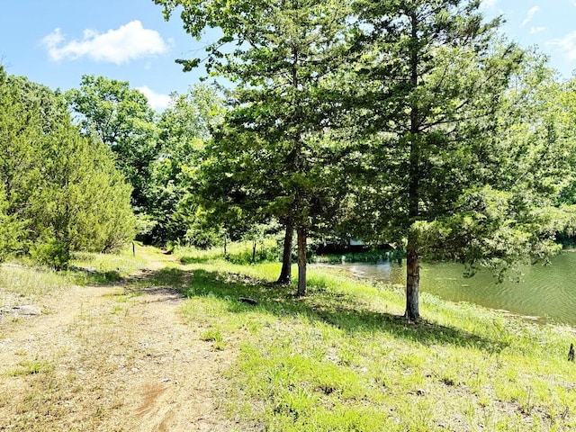 000 SE 1200th Rd, Collins, MO 64738 - photo 33