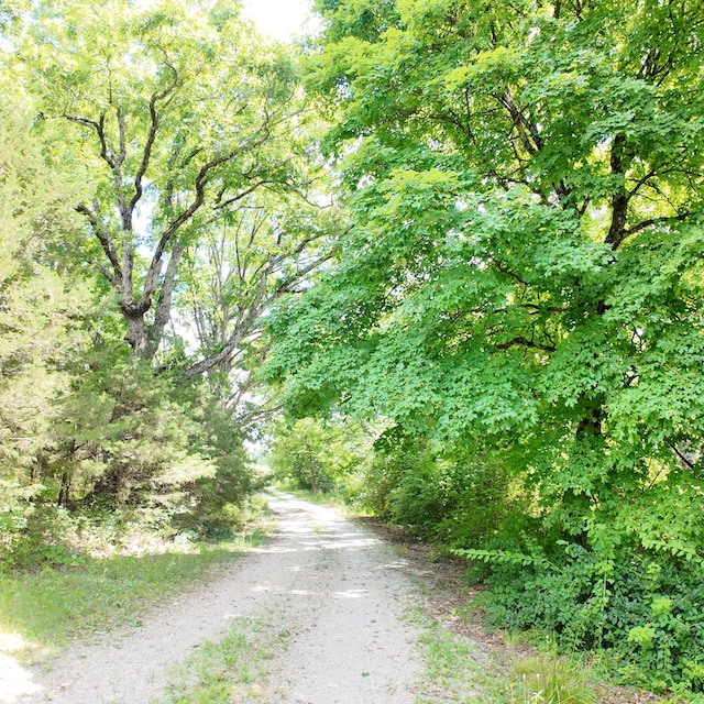 3352 W State Highway 76, Cape Fair, MO 65624 - view of road with a view of trees