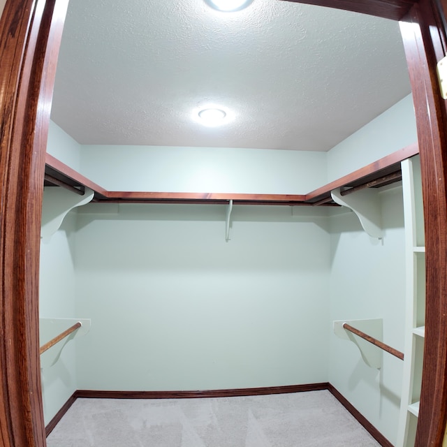 3352 W State Highway 76, Cape Fair, MO 65624 - walk in closet featuring carpet
