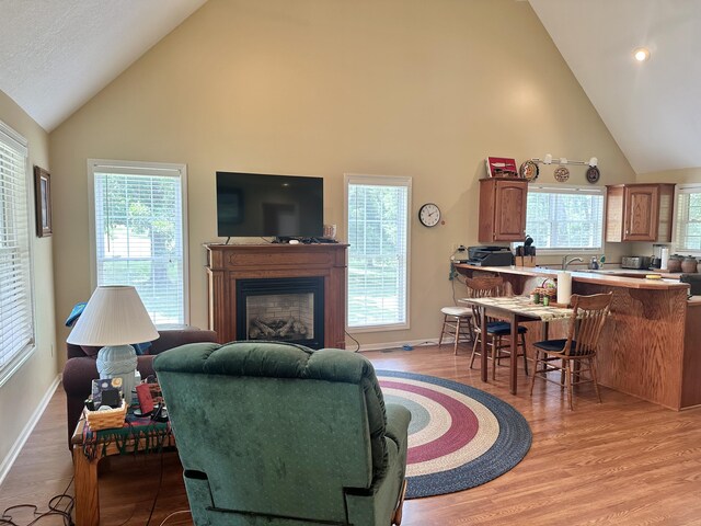 26569 County Road 225, Flemington, MO 65650 - living room featuring high vaulted ceiling, light wood-style flooring, and a fireplace