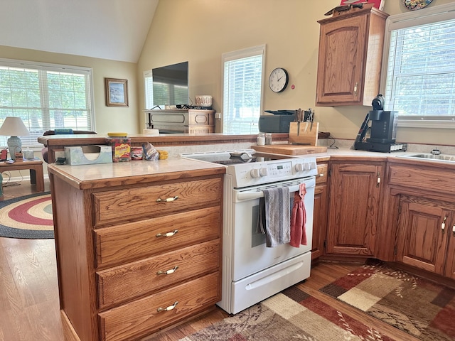 26569 County Road 225, Flemington, MO 65650 - kitchen with white electric range, a peninsula, wood finished floors, lofted ceiling, and light countertops