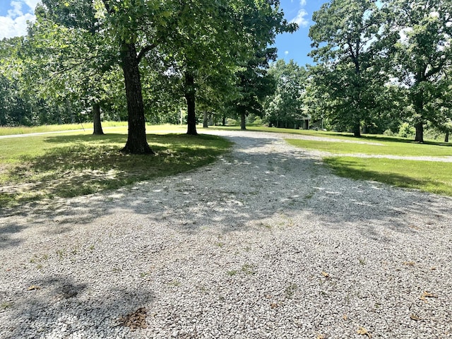 26569 County Road 225, Flemington, MO 65650 - view of dirt / gravel road featuring view of wooded area