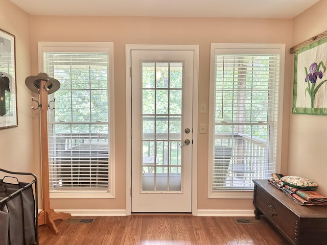 26569 County Road 225, Flemington, MO 65650 - entryway featuring wood finished floors and plenty of natural light