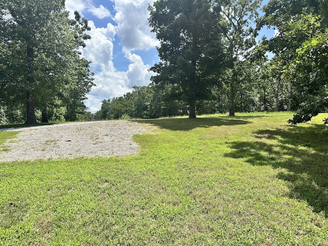 26569 County Road 225, Flemington, MO 65650 - view of grassy yard