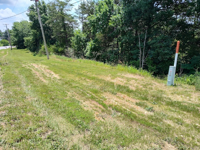 TBD W Dallas St, Hermitage, MO 65668 - photo 2
