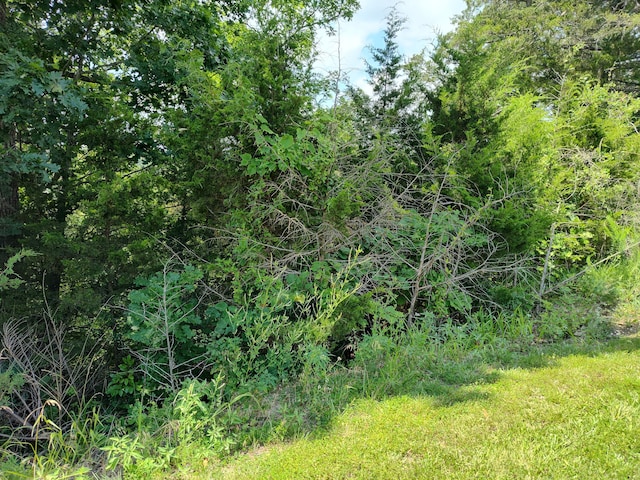 TBD W Dallas St, Hermitage, MO 65668 - photo 3