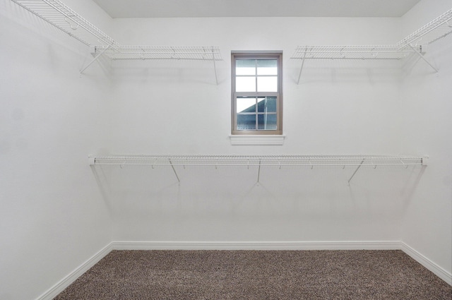 2000 E Greenwich Dr, Ozark, MO 65721 - spacious closet featuring carpet