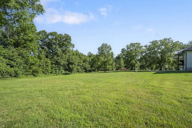 225 Maggie Hill Dr, Crane, MO 65633 - photo 31