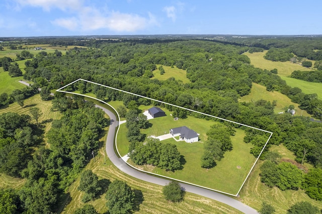 225 Maggie Hill Dr, Crane, MO 65633 - photo 41