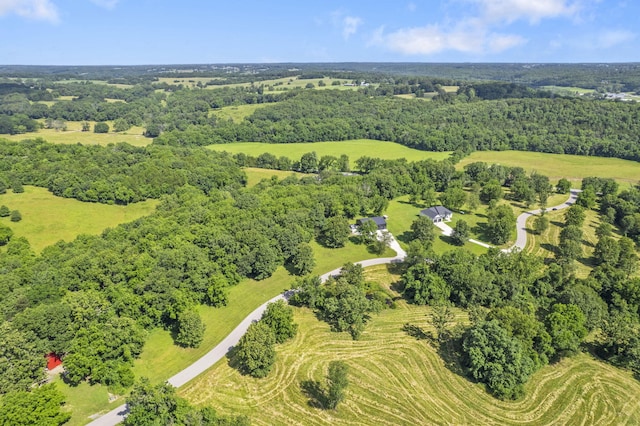 225 Maggie Hill Dr, Crane, MO 65633 - photo 38