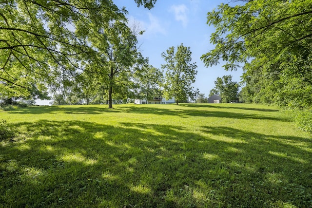 225 Maggie Hill Dr, Crane, MO 65633 - photo 36