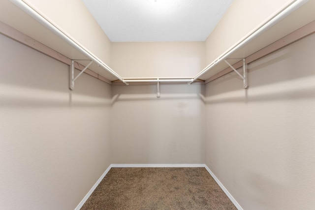 2505 Talking Rocks Rd, Branson West, MO 65737 - walk in closet featuring carpet floors