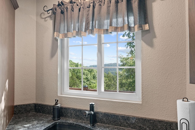 2505 Talking Rocks Rd, Branson West, MO 65737 - bathroom with healthy amount of natural light and a textured wall