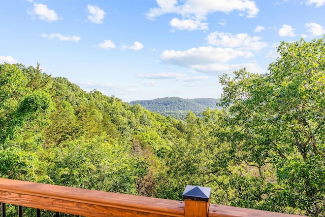 2505 Talking Rocks Rd, Branson West, MO 65737 - view of mountain background with a forest