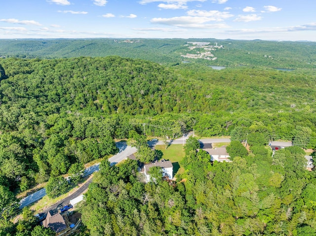 2505 Talking Rocks Rd, Branson West, MO 65737 - view of property location with a heavily wooded area