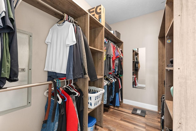2505 Talking Rocks Rd, Branson West, MO 65737 - spacious closet with wood finished floors
