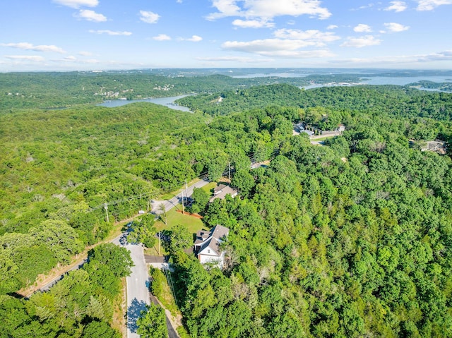 2505 Talking Rocks Rd, Branson West, MO 65737 - aerial view of property's location featuring a heavily wooded area and a large body of water