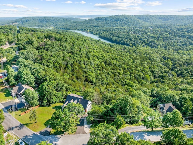 2505 Talking Rocks Rd, Branson West, MO 65737 - bird's eye view of a forest and a nearby body of water