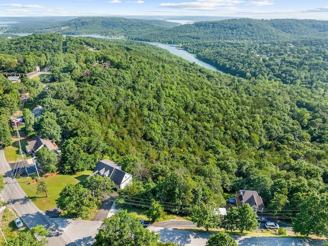 2505 Talking Rocks Rd, Branson West, MO 65737 - view of property location featuring a heavily wooded area and a water and mountain view