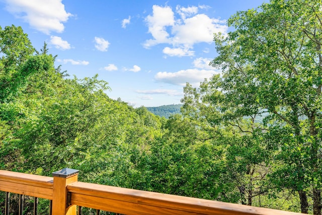 2505 Talking Rocks Rd, Branson West, MO 65737 - view of mountain backdrop with a heavily wooded area