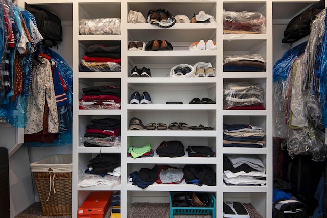 1604 N Bristol Ave, Springfield, MO 65802 - view of walk in closet