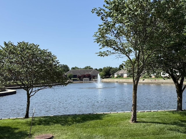 1352 N Sandy Creek Cir Unit 3, Nixa, MO 65714 - water view