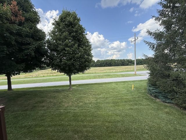 1352 N Sandy Creek Cir Unit 3, Nixa, MO 65714 - view of grassy yard