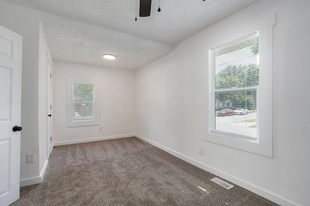 1051 W Hamilton St, Springfield, MO 65802 - empty room with carpet, a ceiling fan, plenty of natural light, and a textured ceiling