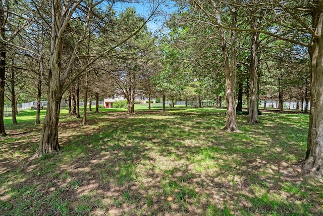 960 Elliot Rd, Nixa, MO 65714 - photo 33
