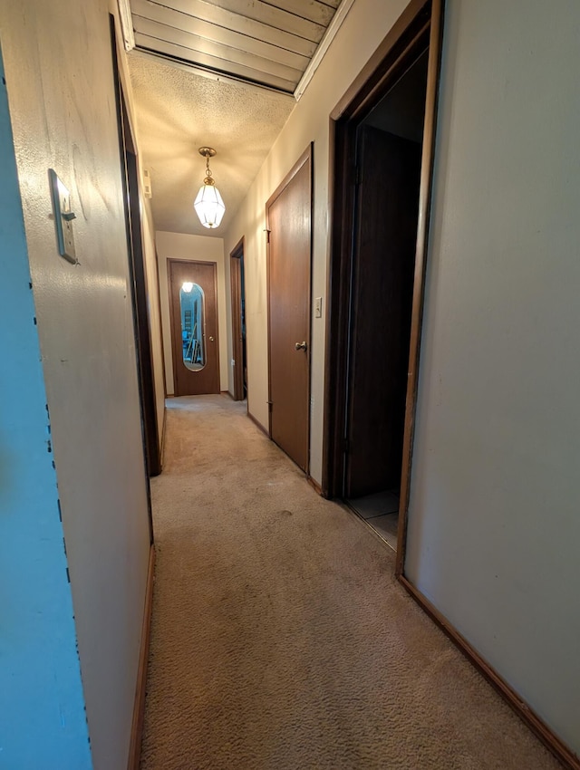 1202 S 11th St, Ozark, MO 65721 - hallway with light colored carpet