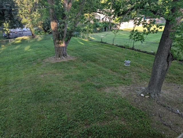 1202 S 11th St, Ozark, MO 65721 - view of yard