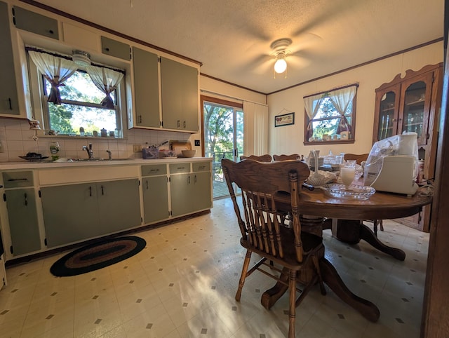 1202 S 11th St, Ozark, MO 65721 - dining room featuring crown molding and a textured ceiling