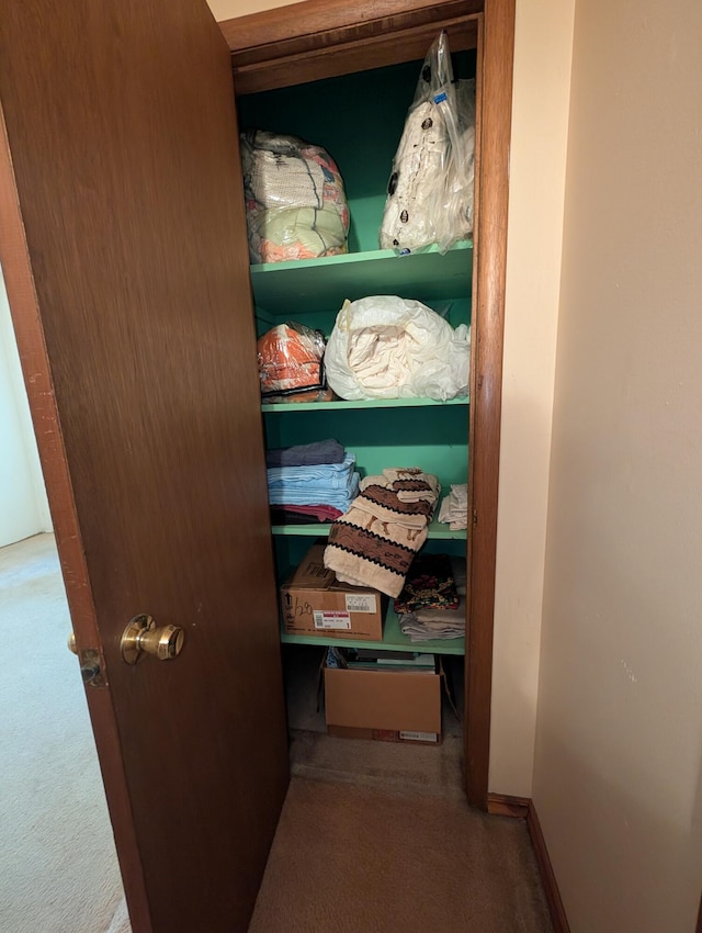 1202 S 11th St, Ozark, MO 65721 - view of closet