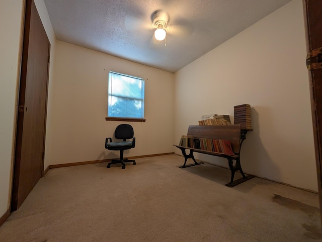 1202 S 11th St, Ozark, MO 65721 - misc room with carpet flooring and baseboards
