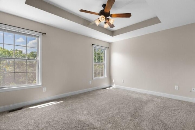 223 Roundhill Rd, Branson, MO 65616 - unfurnished room with ceiling fan, carpet, and a raised ceiling