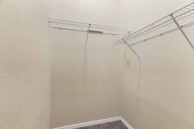 223 Roundhill Rd, Branson, MO 65616 - walk in closet with carpet floors