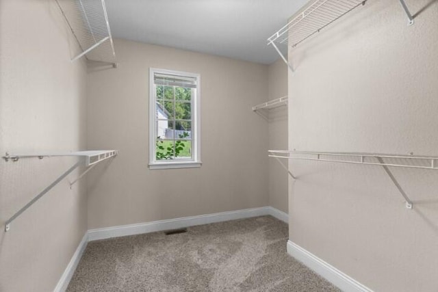 223 Roundhill Rd, Branson, MO 65616 - spacious closet with carpet floors