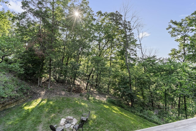 28 Irish Hills Blvd, Kimberling City, MO 65686 - photo 24