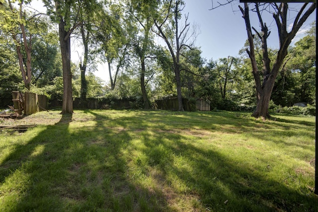 1830 N Hillcrest Ave, Springfield, MO 65802 - view of yard