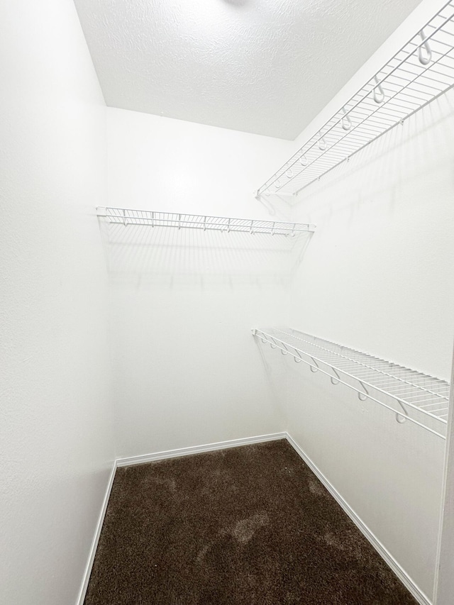 751 Logan St, Rogersville, MO 65742 - spacious closet featuring carpet flooring