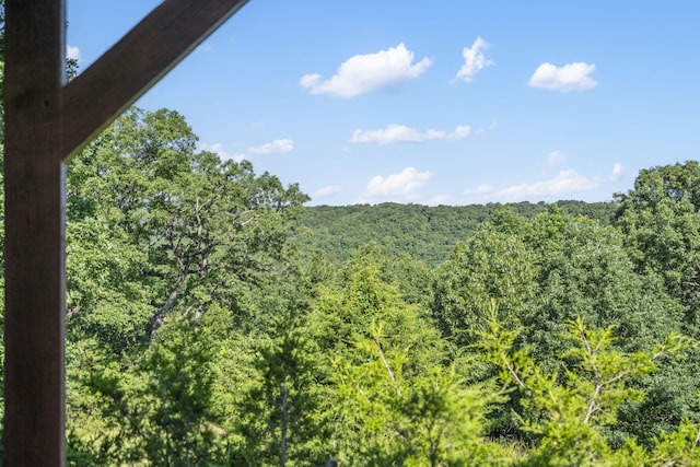 904 Arnold Rd, Hollister, MO 65672 - photo 5