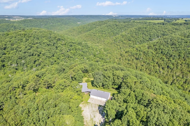 904 Arnold Rd, Hollister, MO 65672 - photo 3