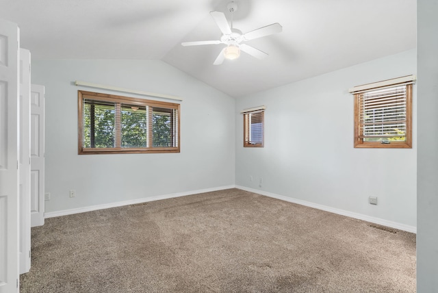 904 Arnold Rd, Hollister, MO 65672 - photo 18